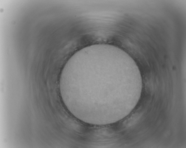 X0000073760769200608102045