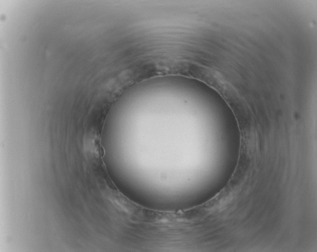 X0000073760770200608102045