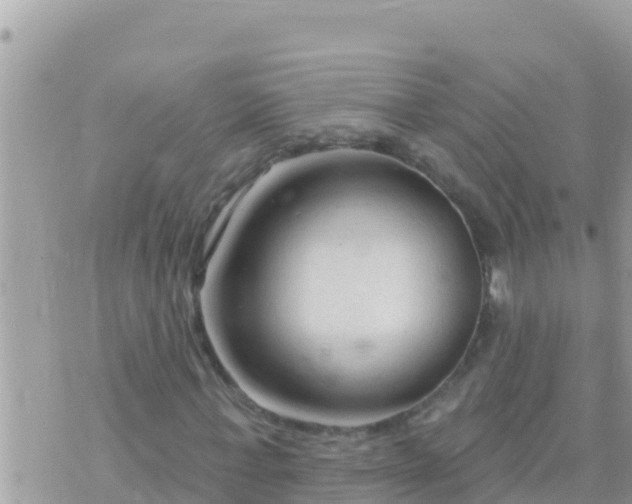 X0000073760771200608102045