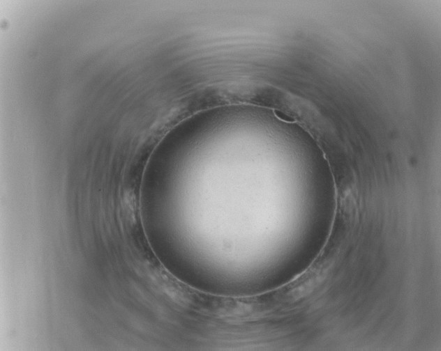 X0000073760772200608102045