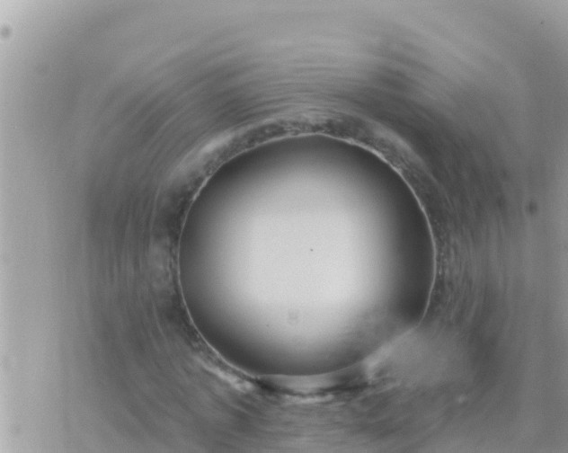 X0000073760773200608102045