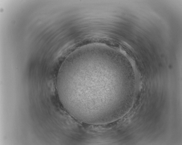 X0000073760774200608102045