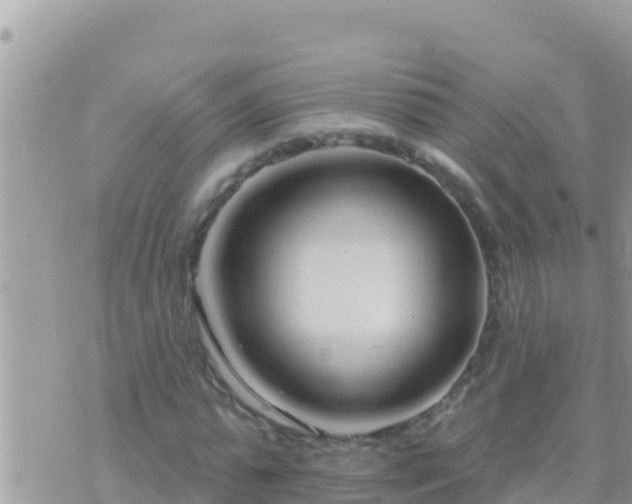 X0000073760775200608102045