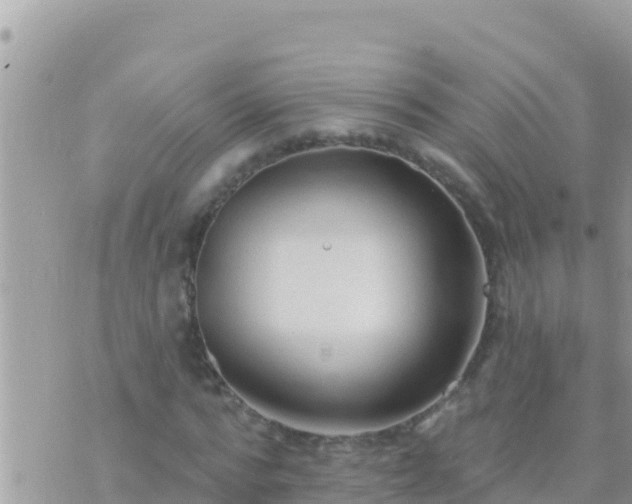 X0000073760776200608102045