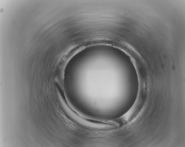 X0000073760777200608102044