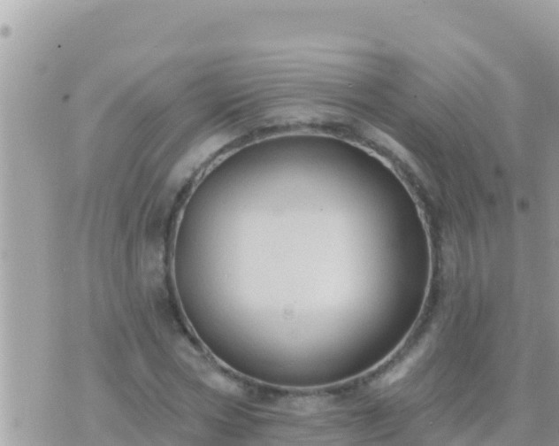 X0000073760778200608102044