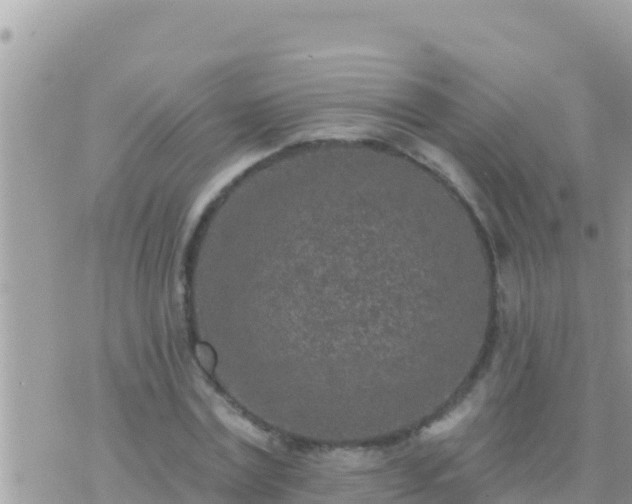 X0000073760779200608102044