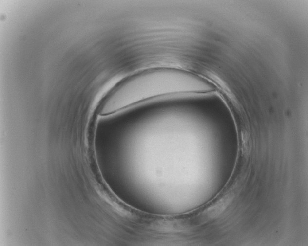 X0000073760780200608102044