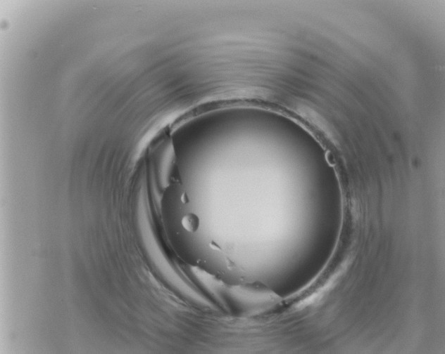 X0000073760781200608102044