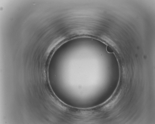 X0000073760782200608102044