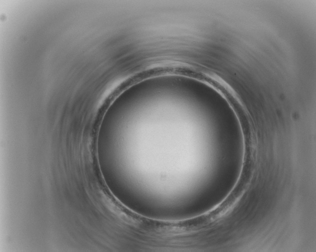 X0000073760783200608102044