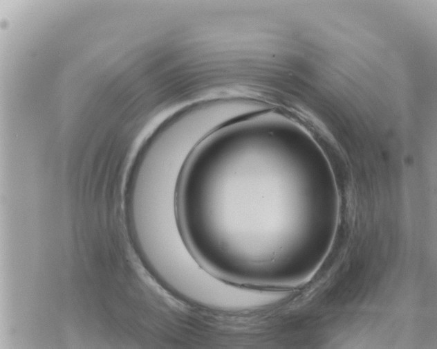 X0000073760784200608102044