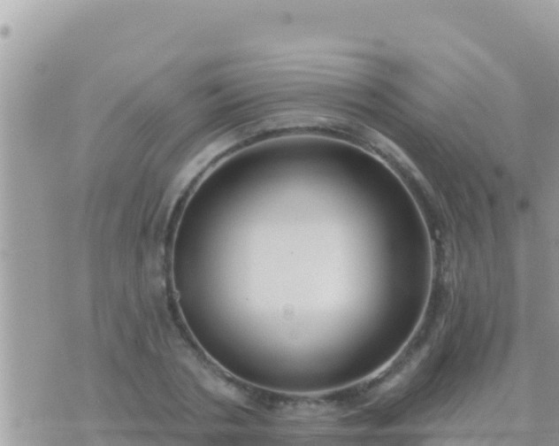 X0000073760786200608102044