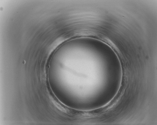 X0000073760787200608102044