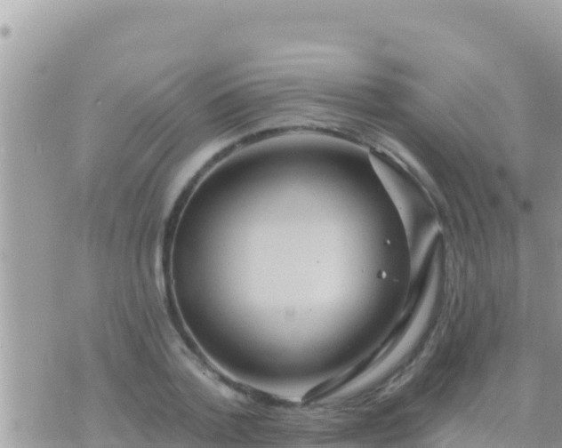 X0000073760788200608102044