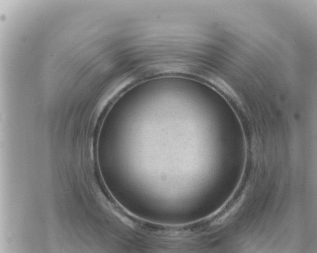 X0000073760790200608102044