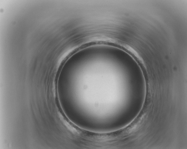 X0000073760791200608102044