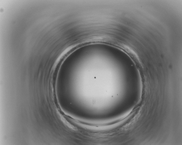 X0000073760792200608102044