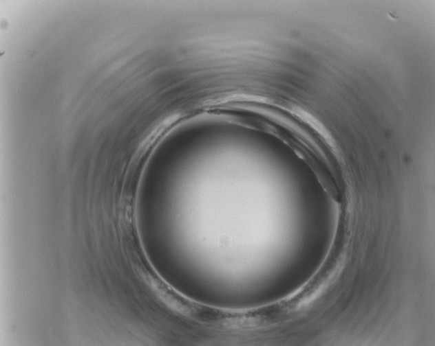 X0000073760793200608102044