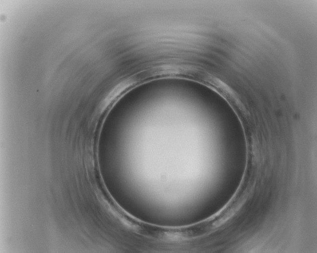 X0000073760794200608102044