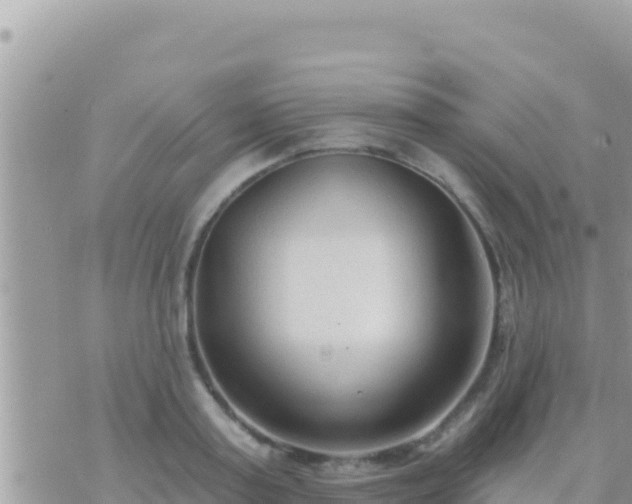 X0000073760795200608102044