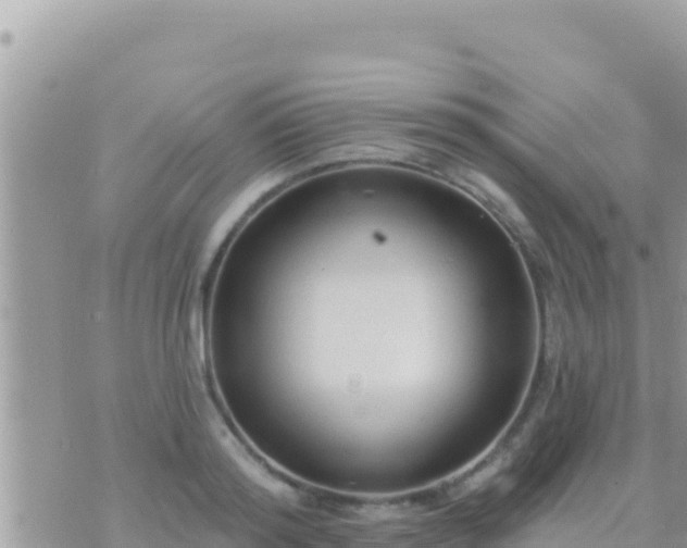 X0000073760796200608102044