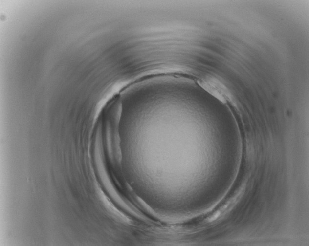 X0000073760797200608102044