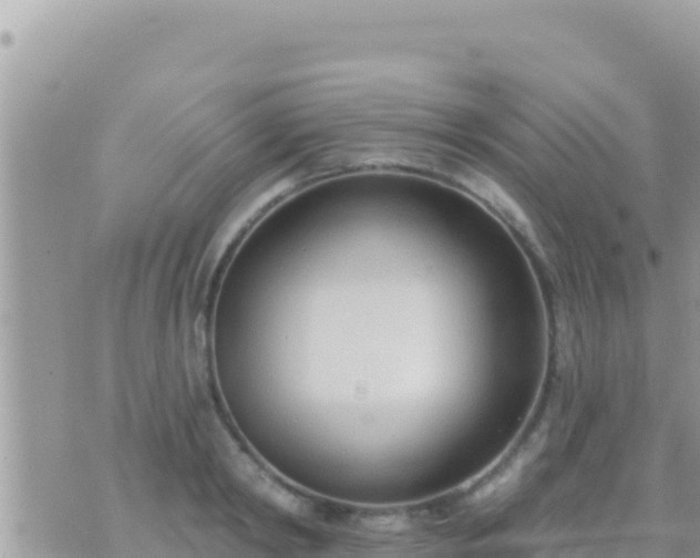 X0000073760798200608102044