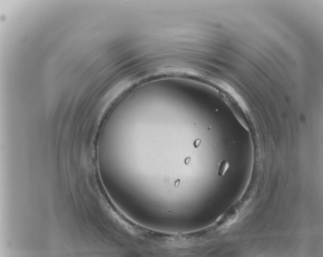 X0000073760799200608102044