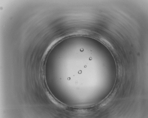 X0000073760800200608102044