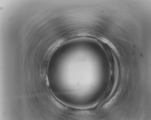 X0000073760801200608102044