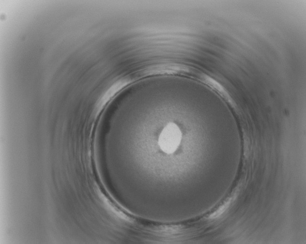 X0000073760802200608102044