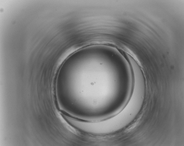 X0000073760803200608102044