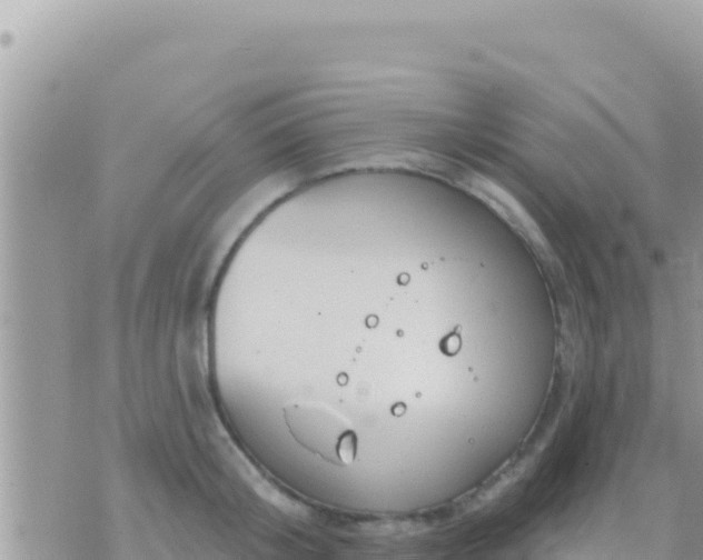 X0000073760804200608102044