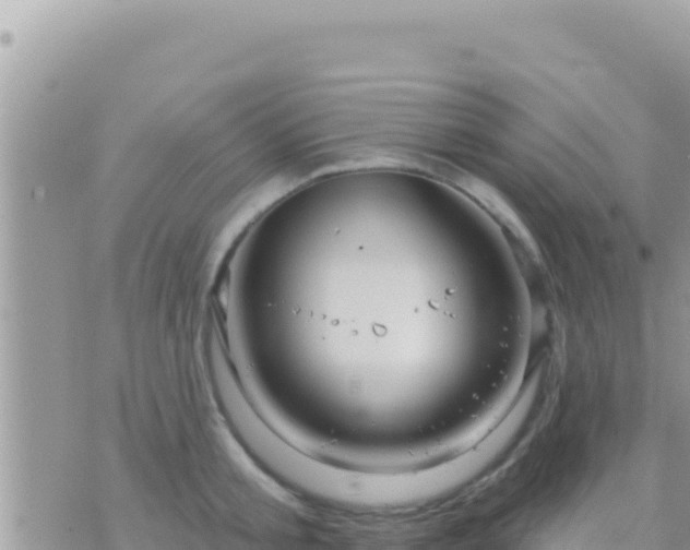 X0000073760805200608102044