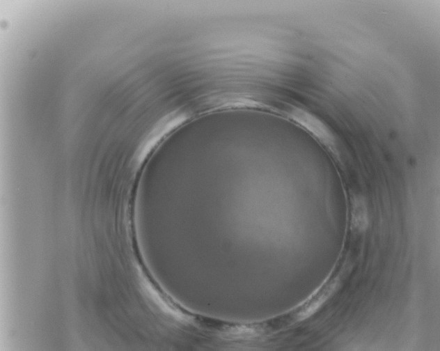 X0000073760806200608102044