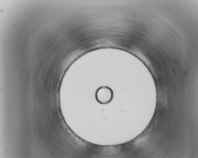 X0000073760807200608102044