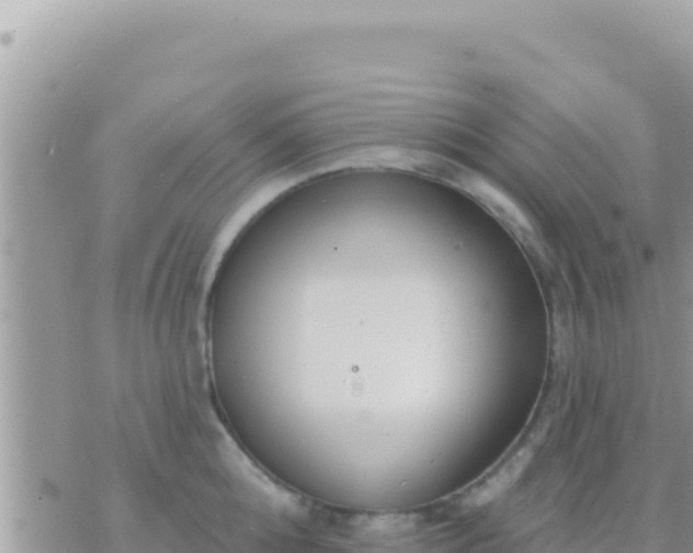 X0000073760808200608102044