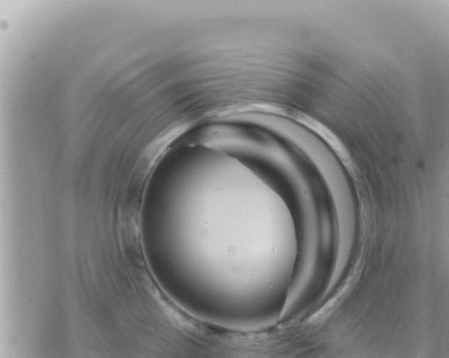 X0000073760809200608102044