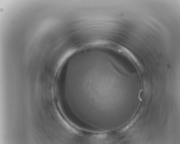 X0000073760810200608102044