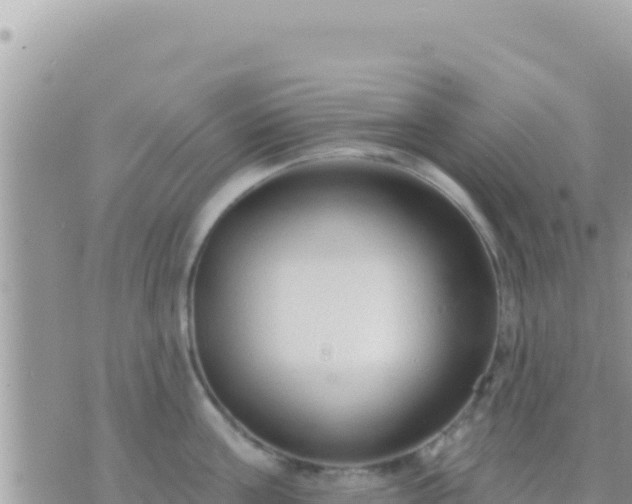 X0000073760811200608102044