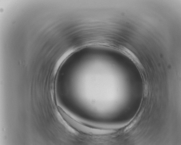 X0000073760812200608102044