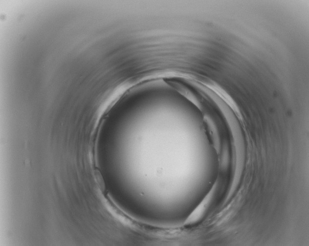 X0000073760813200608102044