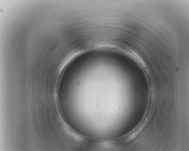 X0000073760814200608102044