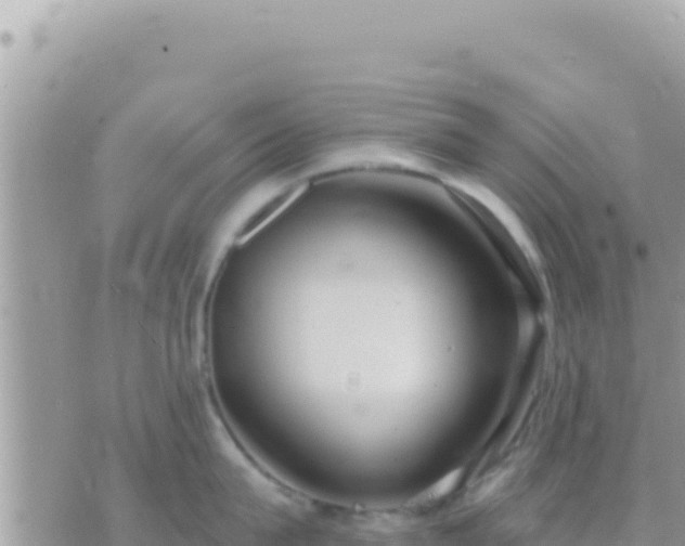 X0000073760815200608102044