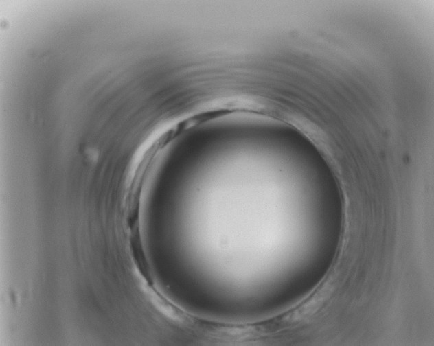 X0000073760816200608102044