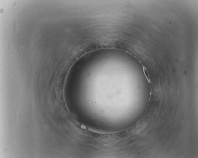 X0000073760817200608102043