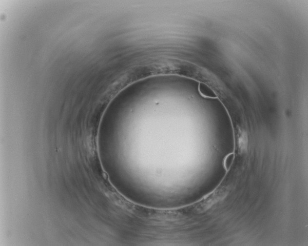 X0000073760819200608102043