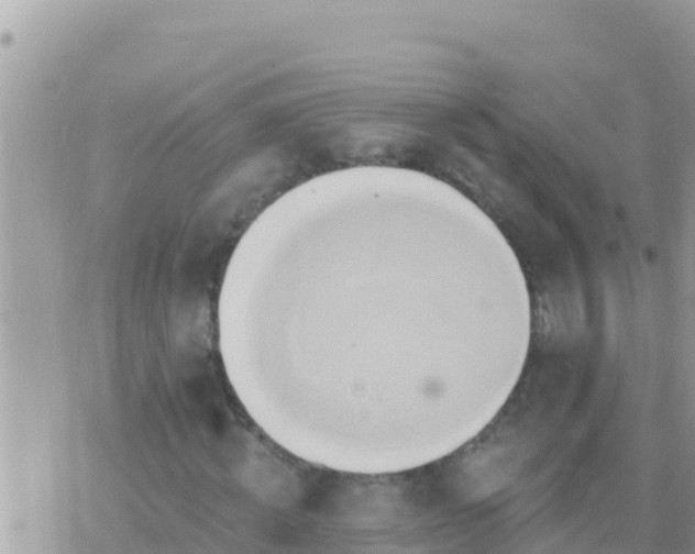 X0000073760820200608102043