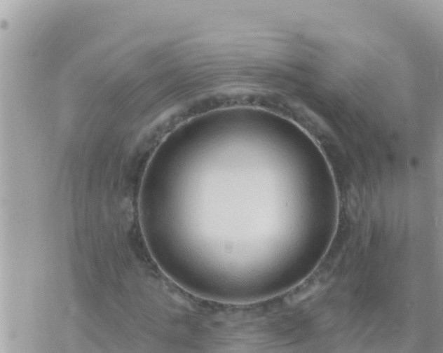 X0000073760821200608102043